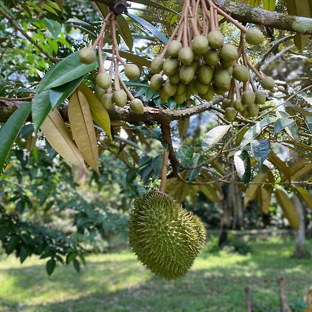 Villa Kebun Puisi Kajang Esterno foto