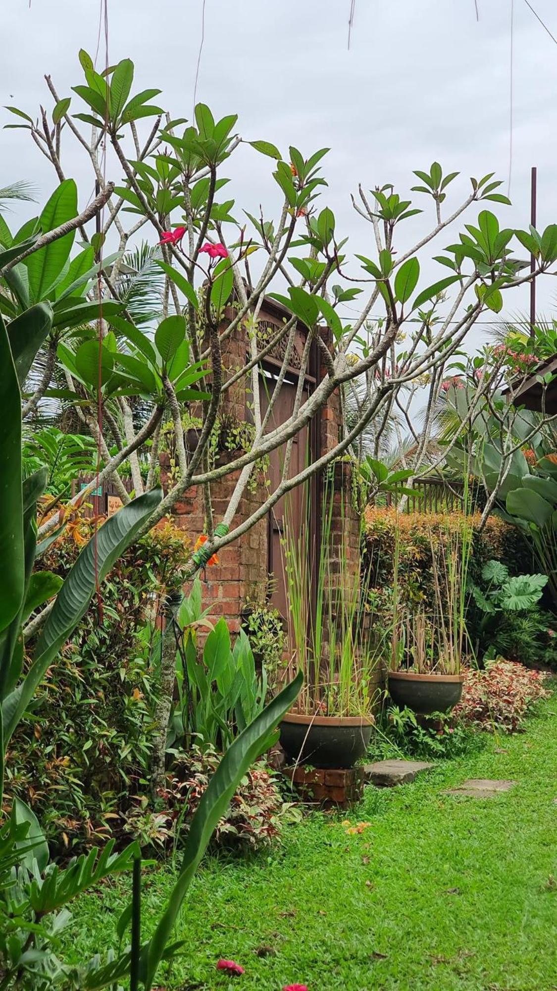 Villa Kebun Puisi Kajang Esterno foto